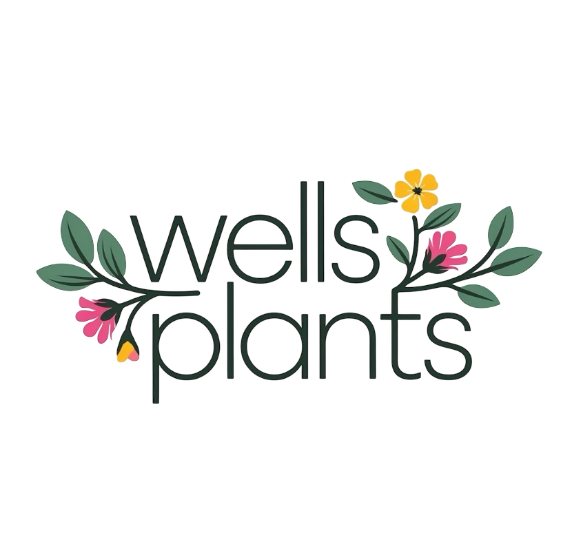 Wells Plants